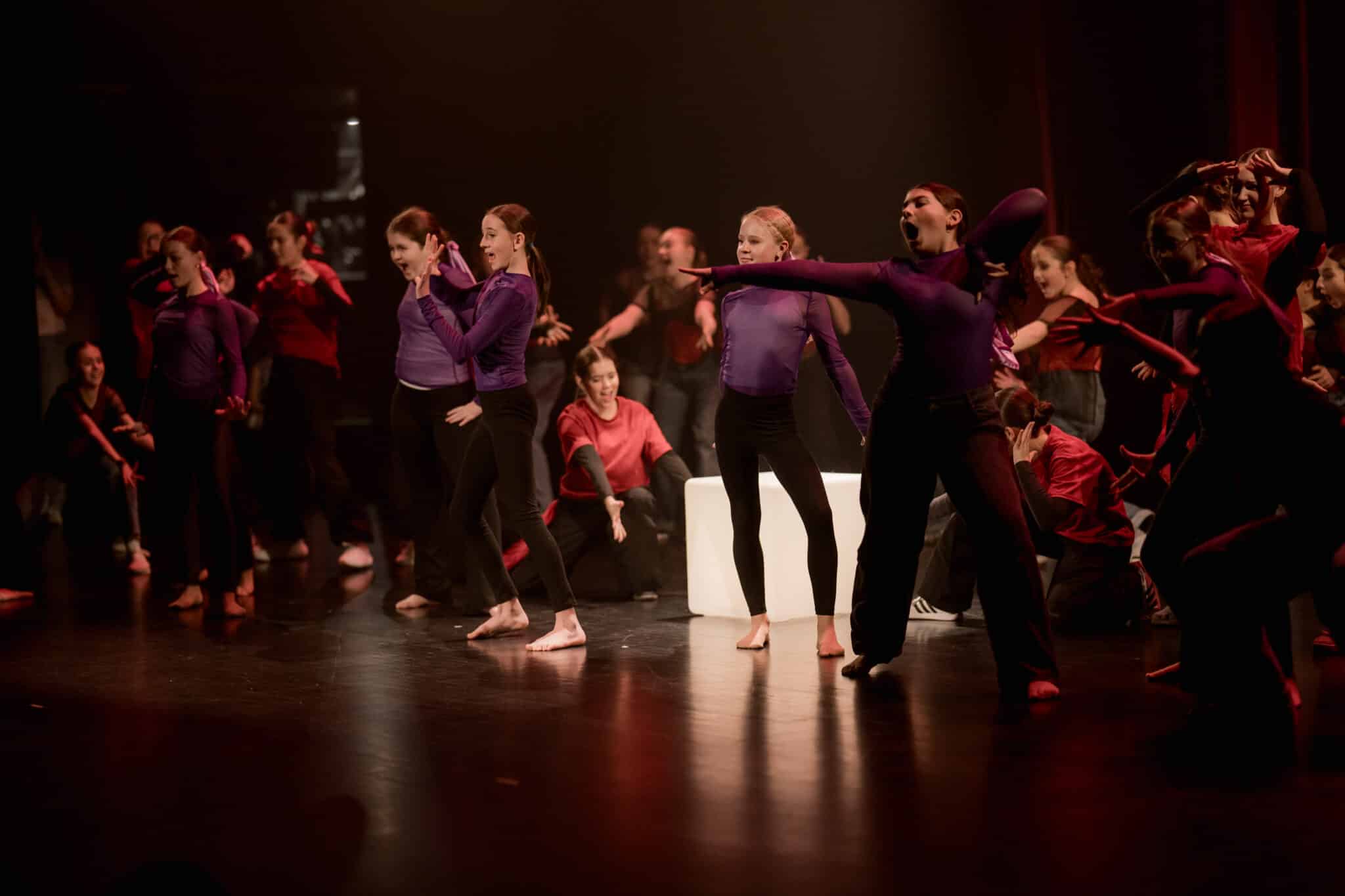 Danseurs EDLB